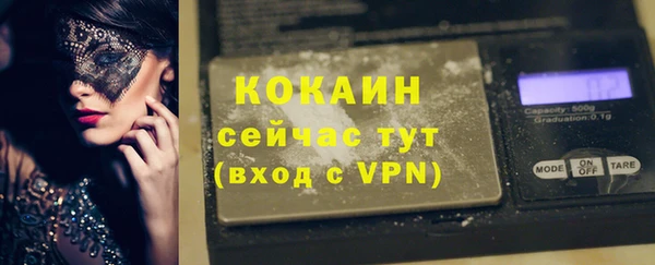 шишки Бородино