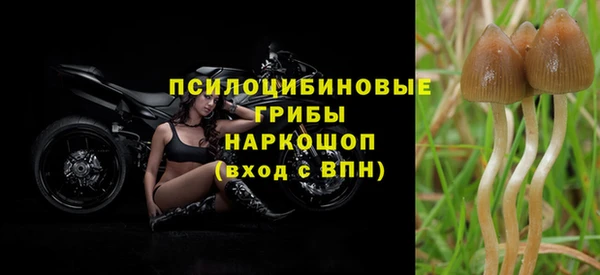 мескалин Бронницы