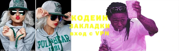 шишки Бородино
