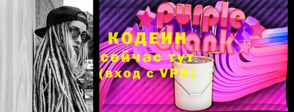 шишки Бородино