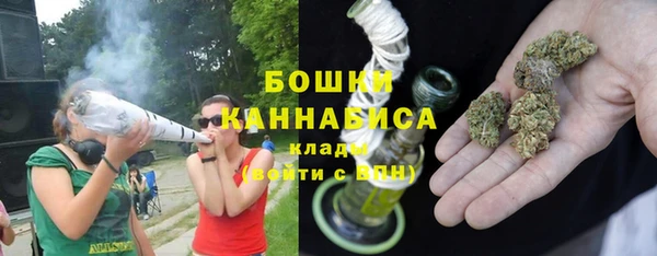 шишки Бородино